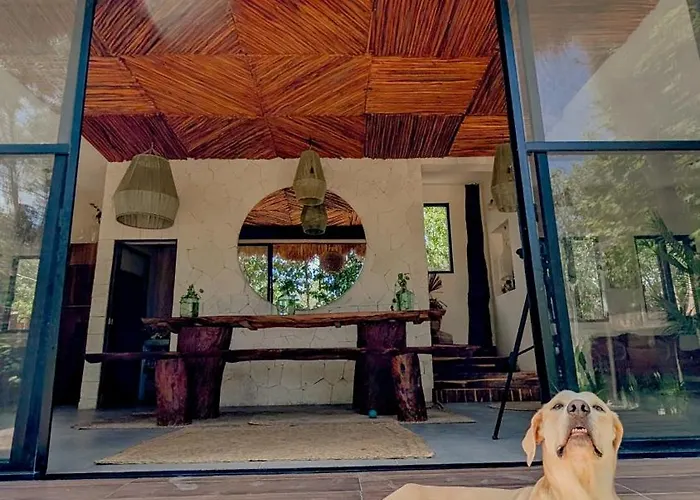 Curandero Villa Tulum