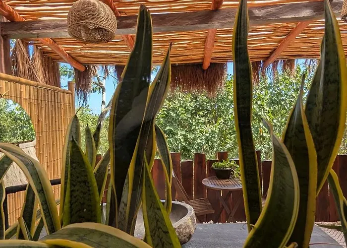 Curandero Villa Tulum